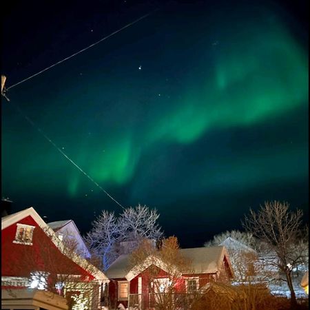 Nydelig Hytte I Kabelvag Lofoten Ngoại thất bức ảnh