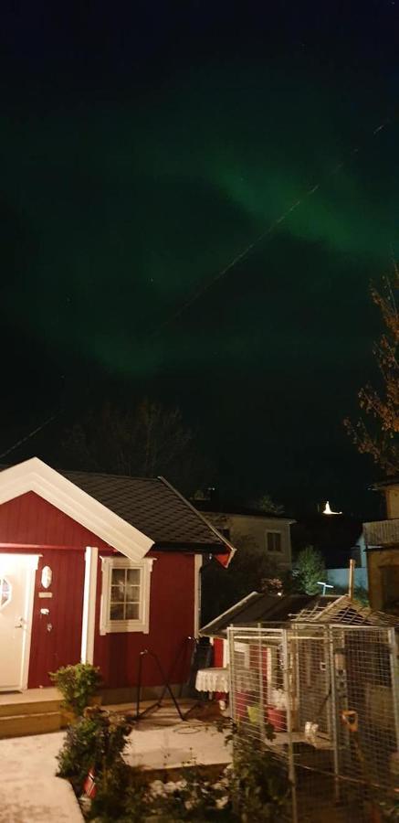 Nydelig Hytte I Kabelvag Lofoten Ngoại thất bức ảnh